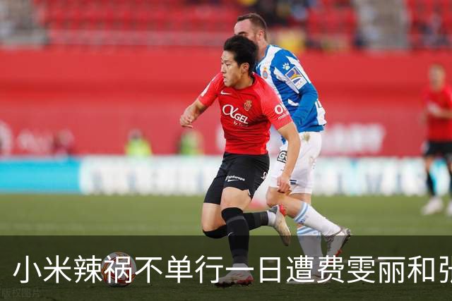 小米辣祸不单行一日遭费雯丽和张帅双杀，伊埃拉再次引发欢呼海啸